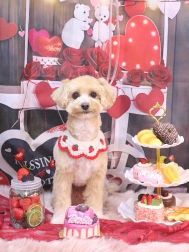 20250227ぽぽくん